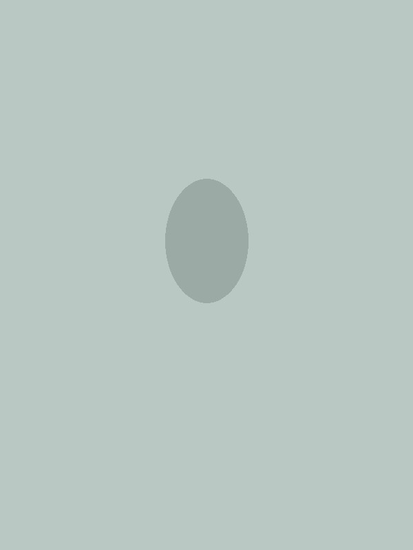 Modern Minimalist